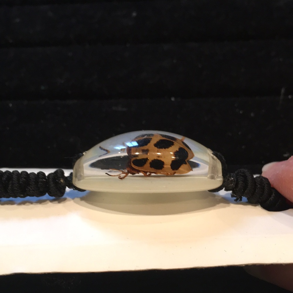 NWT Hot Topic Beetle Bracelet - Picture 3 of 3